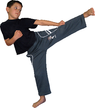 taekwondo kwon brezovac